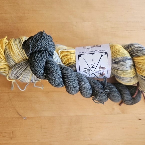 Farmer's Daughter Fibers Sock Squad 2023, January through October, 8 skeins. - Picture 3 of 6